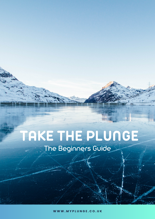 Beginner's Guide Ebook